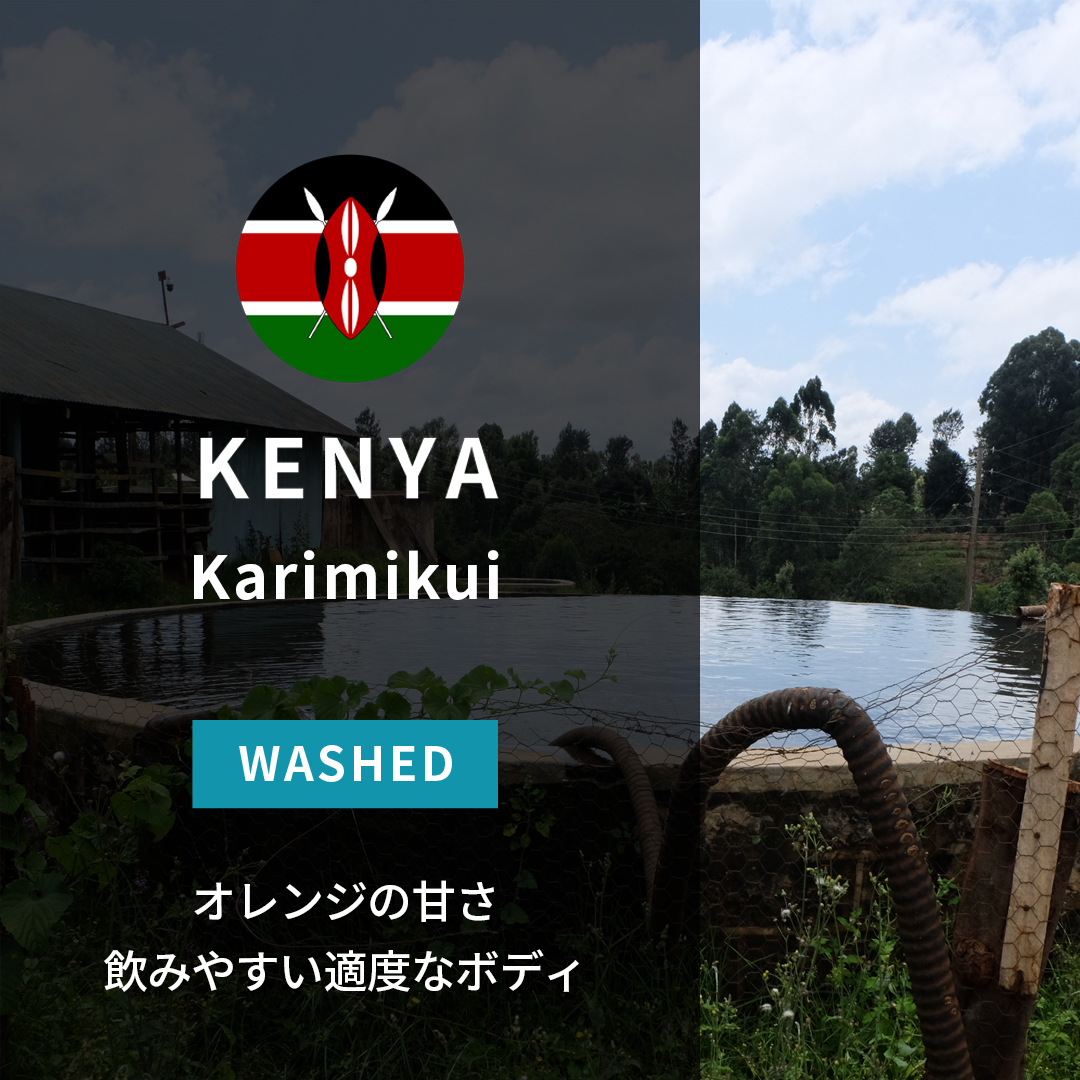 Kenya Karimikui Washed(24/25年クロップ) | ORIGIN COUNTRIES